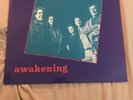 The Last - Awakening Lp 1st Press Vinyl Descendents