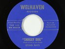 Garage 45 - Sting Rays - Shaggy Dog - Welhaven - VG+ mp3