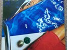 Richard Wright ?– Wet Dream SHVL818 UK 1978 mint vinyl