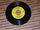 1966 The Remains - ‘Diddy Wah Diddy’ / ‘Once Before’  Beatles Final US Tour