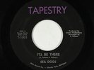 Psych Fuzz 45 - Sea Dogs - I'll Be There - Tapestry - mp3