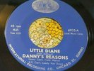 Frantic Chicago Garage Punk Stomper 45 Danny's Reasons Little Diane IRC VG+ HEAR