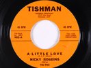 R&B Soul Popcorn 45 - Nicky Robbins - A Little Love - Tishman - mp3