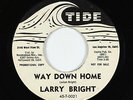 R&B Soul Rocker 45 - Larry Bright - Way Down Home - Tide - mp3
