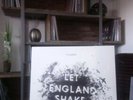 PJ Harvey - Let England Shake Vinyl NEU OVP