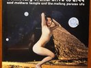 ACID MOTHERS TEMPLE MELTING PARAISO UFO - COMETARY ORBITAL DRIVE TO 2199 VINYL