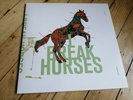 I BREAK HORSES -  Hearts lp 2011 Bella union