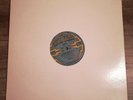 N.W.A - Panic Zone Vinyl Eazy-E Ice Cube Dr Dre MC Ren NWA Arabian Prince Rap