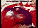 The Chocolate Watchband One Step Beyond LP original white label promo VG+ vinyl