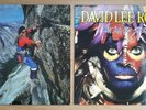 David Lee Roth Vinyl Bundle - Eat Em' & Smile & Skyscraper Record Album 2 x Mint