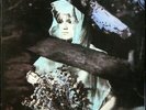 THE CHURCH 'Remote Luxury' NM Never played 1984 1st press Promo LP