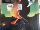 NICK DRAKE PINK MOON NEW SEALED 180G VINYL LP