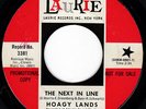 Soaring Northern Soul HOAGY LANDS The Next In Line 45 Laurie HEAR