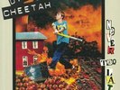 DIRTY CHEETAH - Never Too Late - Vinyl (LP + MP3 download code)