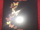 THE COURTEENERS LP VINYL MORE AGAIN FOREVER HMV LIMITED EDITION POP UP SLEEVE