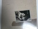 FLEETWOOD MAC TUSK VINYL, NEW, 1979 WARNER BROS, 2HS-3350 - SEALED (11)