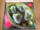 Fiona Apple - Extraordinary Machine - Double 180 gram Vinyl LP Mint