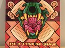 Big Chief - Platinum Jive LP Alternative Rock Vinyl Pic Disc