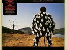 ORIGINAL Vtg PINK FLOYD Live Album DELICATE SOUND OF THUNDER 2 Lp VINYL IS MINT