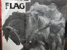 White Flag Peace Vinyl Punk