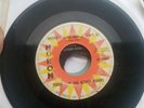 TEDDY and THE ROUGH RIDERS - Money and Gold - 45 rpm - Huron 22008 Garage Rocker