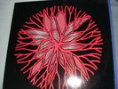 Vinyl / LP / Schallplatte von „Wipers ?– The Circle hülle“ aus USA