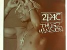 2PAC - Thugz Mansion / 2003 12