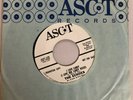 The Echoes | Paper Roses, I Love Candy 45 RPM promo vinyl record - EX - RARE