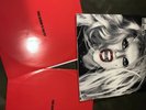 Lady Gaga Born This Way Record