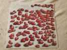 VINCENT WILD STRAWBERRIES PRIVATE LABEL FOLK PSYCH NEW SEALED