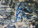 AUTOGRAPHED SIOUXSIE & THE BANSHEES LP JUJU POLS 1034 VG+ £50