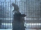 NEIL YOUNG  ?– After the gold rush -LP-REPRISE - RS 6383 -GF- NM-
