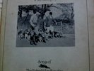THE HOLME VALLEY BEAGLES,( A FINE HUNTING DAY ) ,LP1975