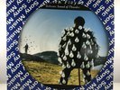 Pink Floyd Delicate Sound Of Thunder Brazil PROMO Picture Disc Lp Rare 928.010