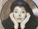 KATE BUSH .CLOUDBUSTING PICTURE DISC 12 INCH .NEW AND SEALED.LIMITED EDITION.