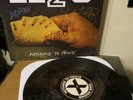 H2O - Nothing To Prove AUTOGRAPHED  LP - Colored Vinyl Hardcore Punk RARE