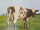 Pink Floyd Atom Heart Mother vinyl LP album record SKAO-382 pink Floyd LP record