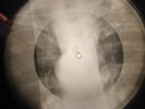 Gene Vincent - Wild Cat X-RAY OF THE USSR X-RAY BONE RECORD