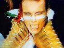 ADAM AND THE ANTS: KINGS OF THE WILD FRONTIER; DELUXE ED. BOX SET
