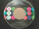 THE PROMISES Living In The Footsteps Sweet SOUL Crossover 7