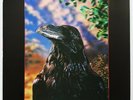The Stranglers The Raven 3D Limited Edition 12