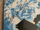 LONGPIGS The Sun Is Often Out 180gm SIGNED BLUE Vinyl LP limited to 500 NEW