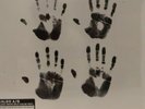 Kaleo A/B Black & White Split Color Vinyl. & Digital dwnld. NEW In Plastic. 100B