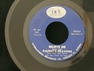 DANNY'S REASONS Little Diane / Believe Me 45 RECORD RARE GARAGE ROCK