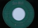 Sweet Deep Soul 45 STARFIRES I'm So Proud SEA-MIST HEAR