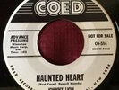 Johnny Lion 45rpm Haunted Heart Promotional