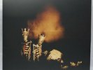 Pearl Jam - Riot Act, LP Vinyl, Gatefold Jacket