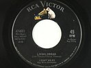 Northern Soul Popcorn 45 - Lenny Miles - Living Dream - RCA Victor - VG+ mp3