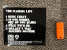 the flaming lips gummy song Skull