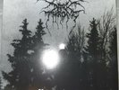 Darkthrone Panzerfaust vinyl numdered lp (vilelp306)